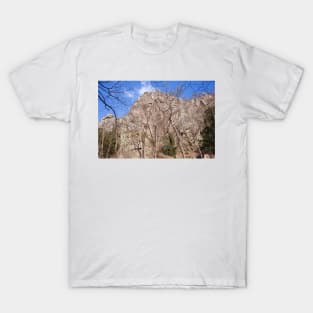 Bodetal, Thale, Harz, Saxony-Anhalt, Germany T-Shirt